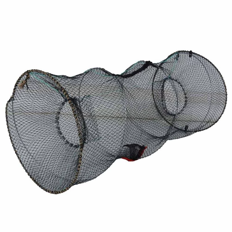 Selection Nasse Poisson-chat 1 Selection Nasse Poisson-chat