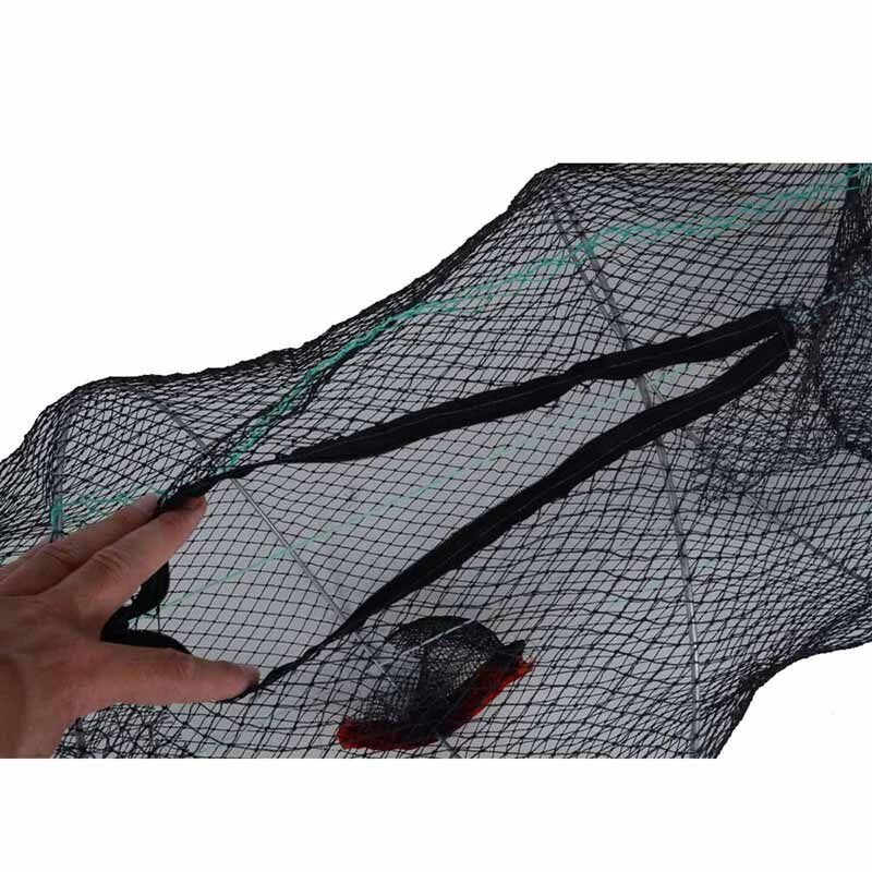 Selection Nasse Poisson-chat 2 Selection Nasse Poisson-chat – Image 2