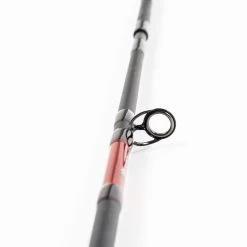 Canne Casting Evok Qualium 1.98m, 10-30 + Moulinet Abu Garcia + Rod Sock Offert -Carphe Magasin 143889 c 1
