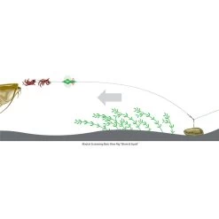 Bas De Ligne Monté Silure Madcat Screaming Basic River Worm & Squid 5 Bas De Ligne Monté Silure Madcat Screaming Basic River Worm & Squid -Carphe Magasin 144972 c