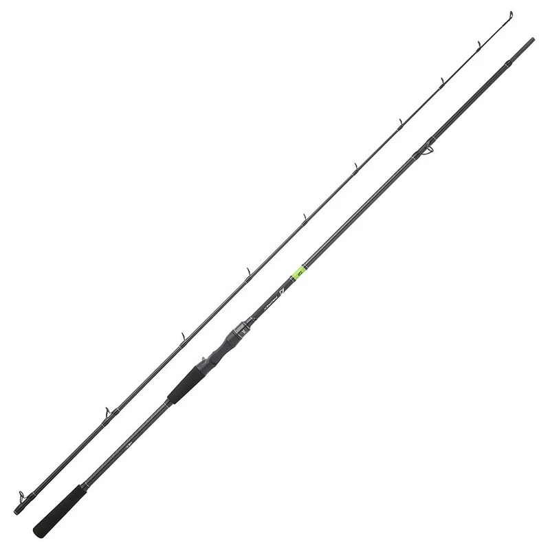 Canne Casting Daiwa Prorex Giant Lakes 2.59m, 80-180g 1 Canne Casting Daiwa Prorex Giant Lakes 2.59m, 80-180g