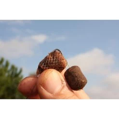 Filet Soluble Carpe Korda Longchuck Funnel Web Pva System (7m) -Carphe Magasin 47521 e