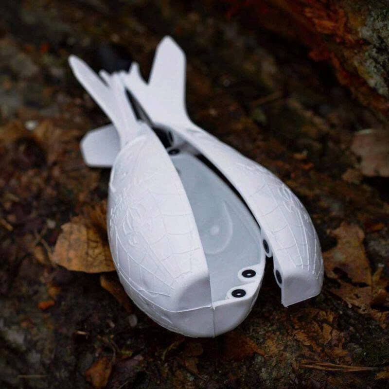 Devant -Carphe Magasin z6681912424968 0829db718c5be682285c7165629b891e